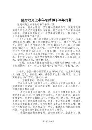 2024年区财政局上半年总结和下半年打算