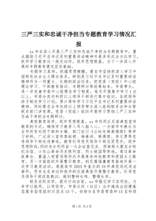 2024年三严三实和忠诚干净担当专题教育学习情况汇报