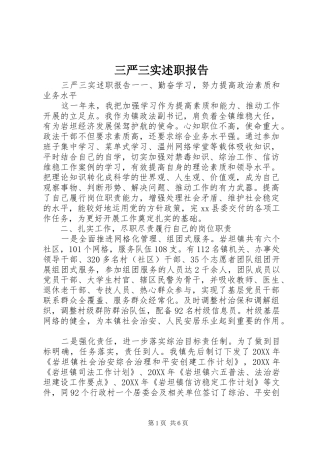 2024年三严三实述职报告