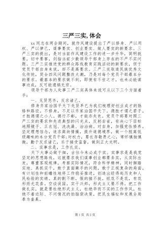 2024年三严三实体会
