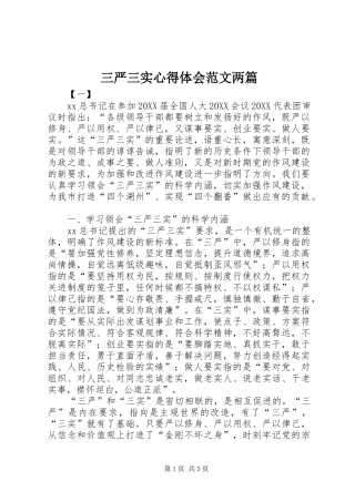 2024年三严三实心得体会范文两篇