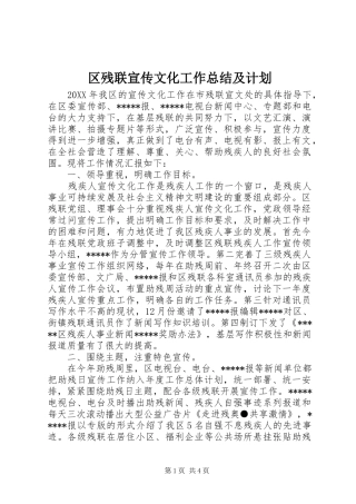 2024年区残联宣传文化工作总结及计划