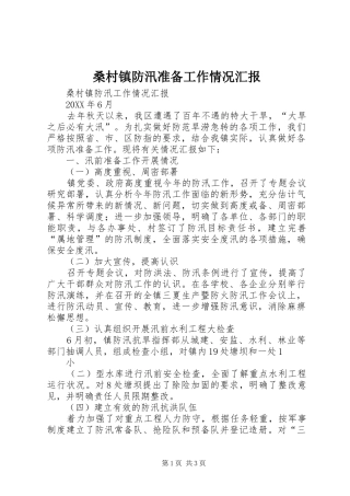 2024年桑村镇防汛准备工作情况汇报