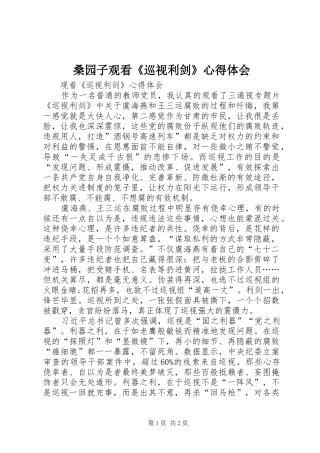 2024年桑园子观看巡视利剑心得体会