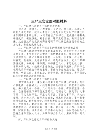 2024年三严三实支部对照材料