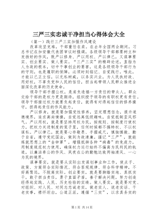 2024年三严三实忠诚干净担当心得体会大全