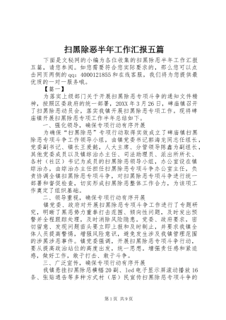2024年扫黑除恶半年工作汇报五篇
