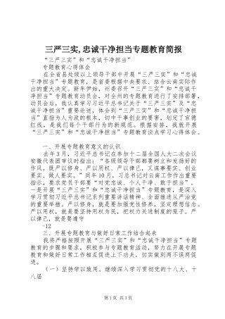 2024年三严三实忠诚干净担当专题教育简报