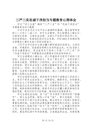 2024年三严三实忠诚干净担当专题教育心得体会