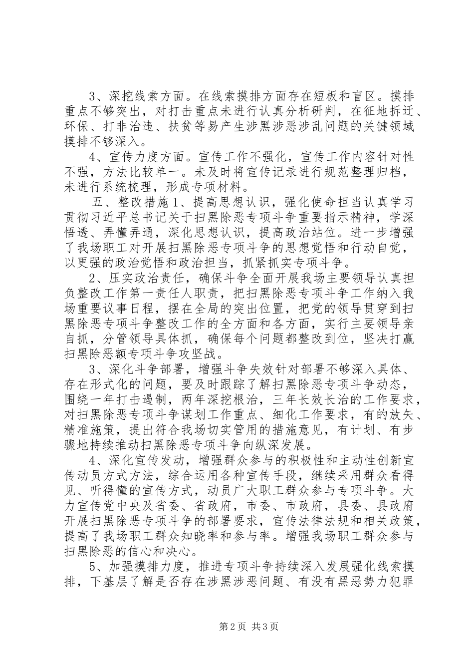 2024年扫黑除恶党员问题清单及整改措施_第2页