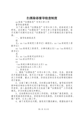 2024年扫黑除恶督导检查制度