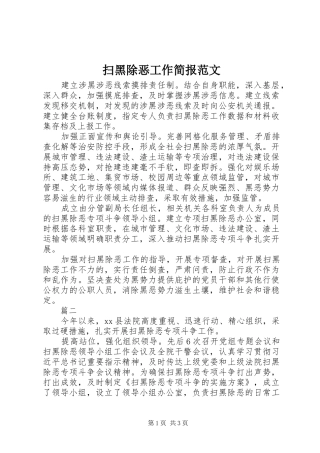 2024年扫黑除恶工作简报范文