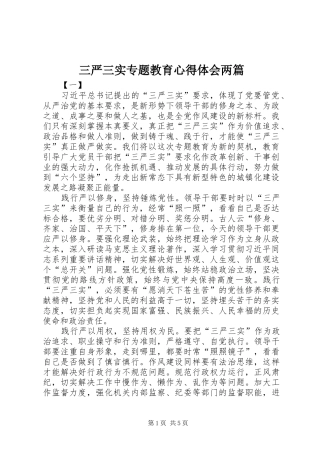 2024年三严三实专题教育心得体会两篇