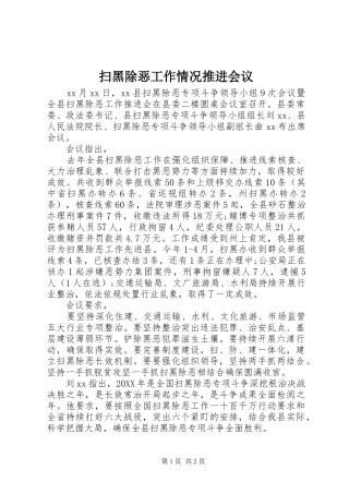2024年扫黑除恶工作情况推进会议