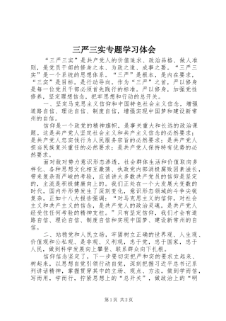 2024年三严三实专题学习体会