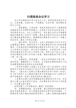 2024年扫黑除恶会议学习