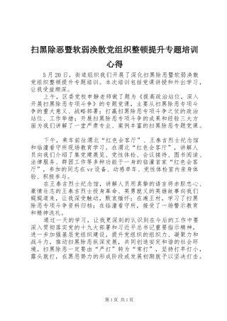 2024年扫黑除恶暨软弱涣散党组织整顿提升专题培训心得