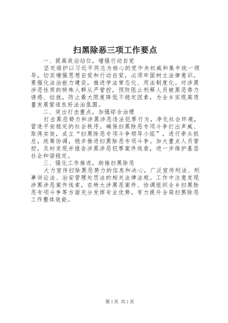 2024年扫黑除恶三项工作要点