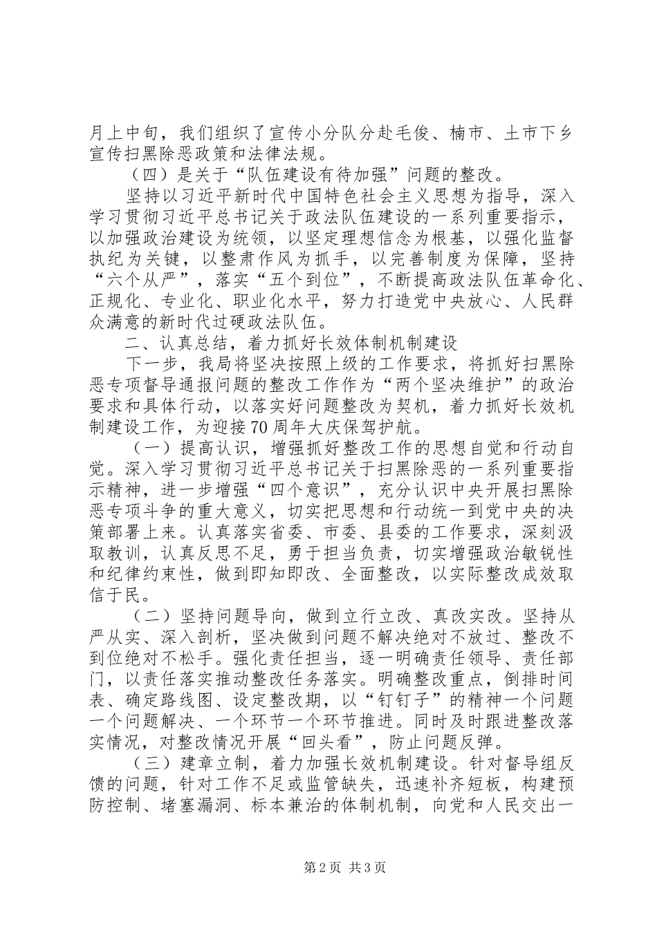 2024年扫黑除恶整改工作情况汇报_第2页