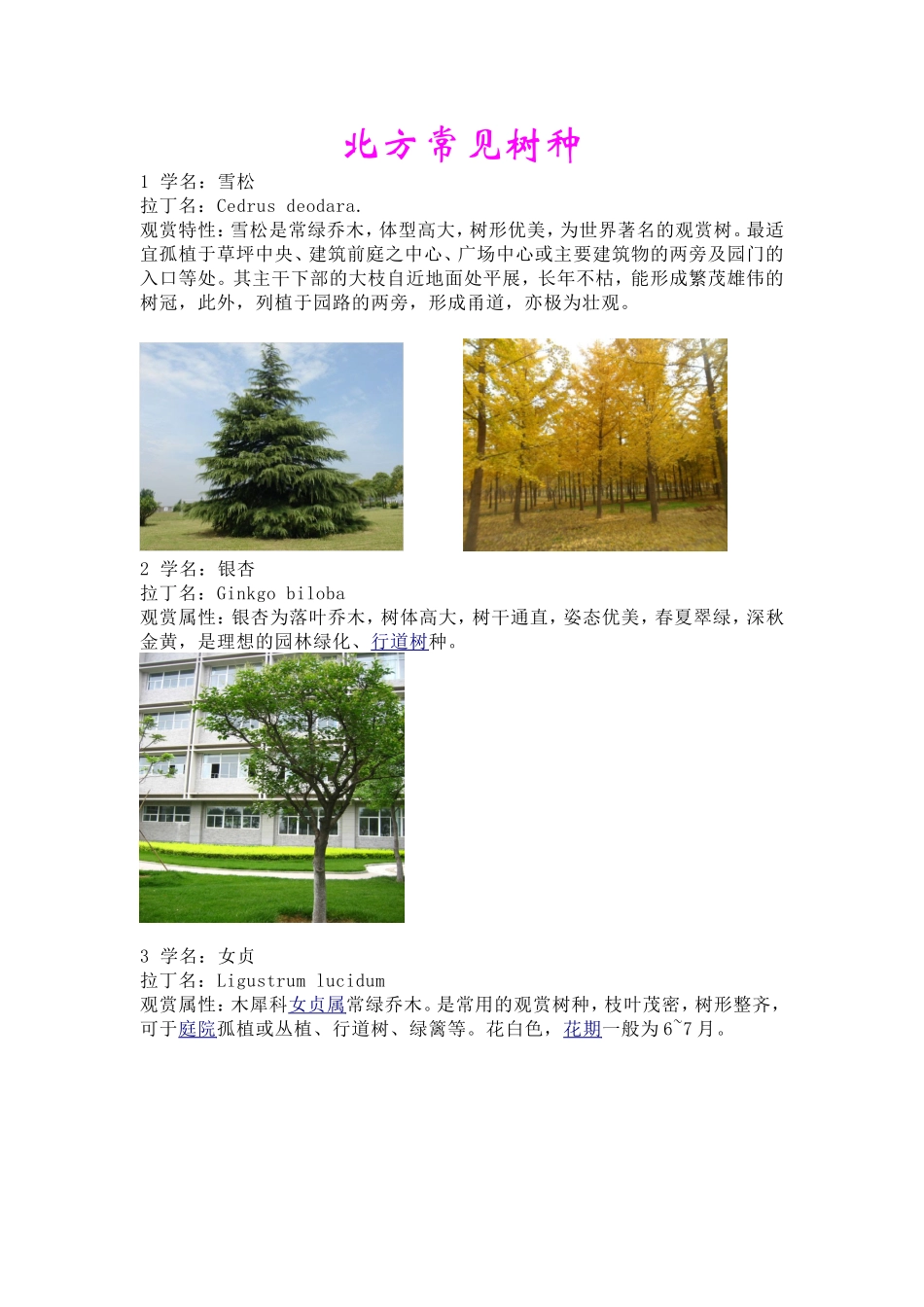 北方常见树种_第1页