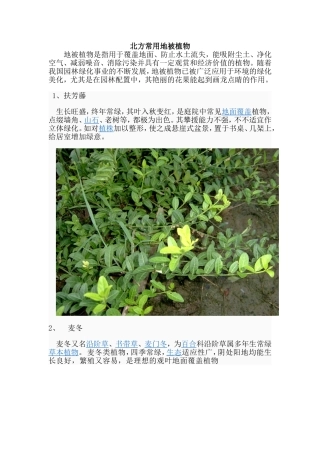 北方常用地被植物