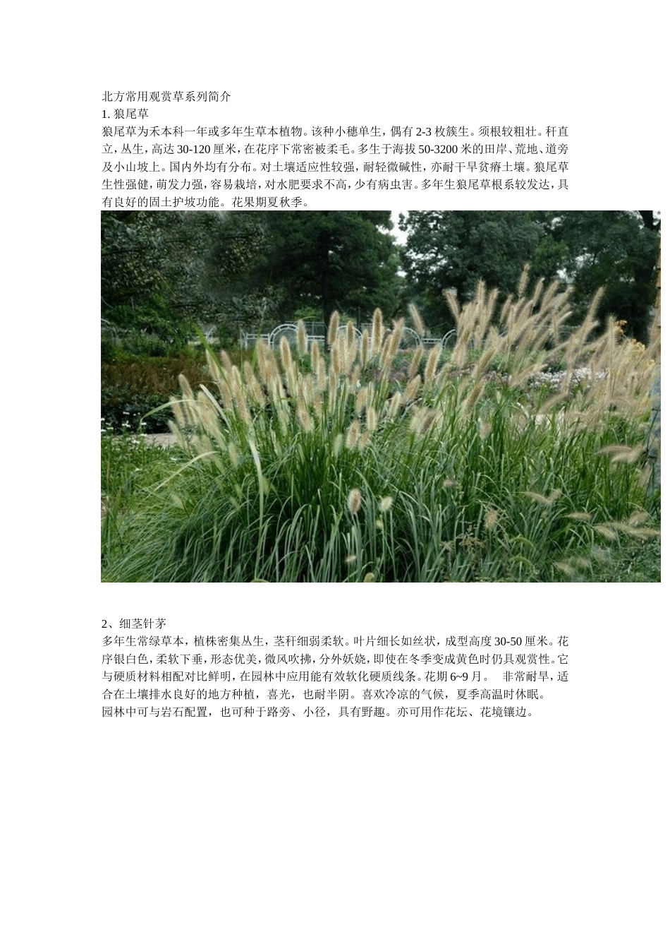 北方常用观赏草系列简介_第1页