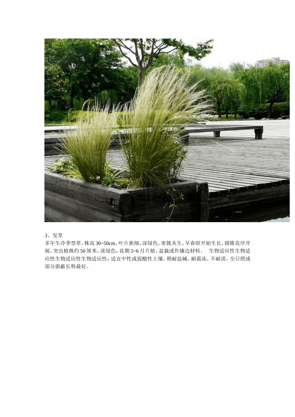 北方常用观赏草系列简介_第2页
