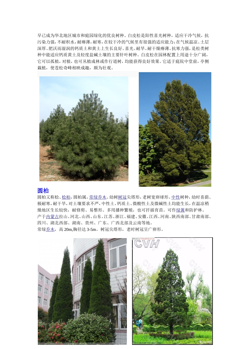 北方常用园林常绿树种介绍_第2页