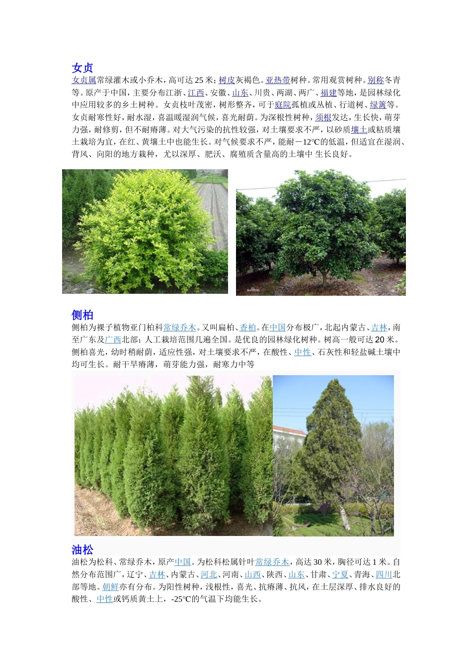 北方常用园林常绿树种介绍_第3页