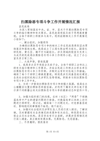 2024年扫黑除恶专项斗争工作开展情况汇报