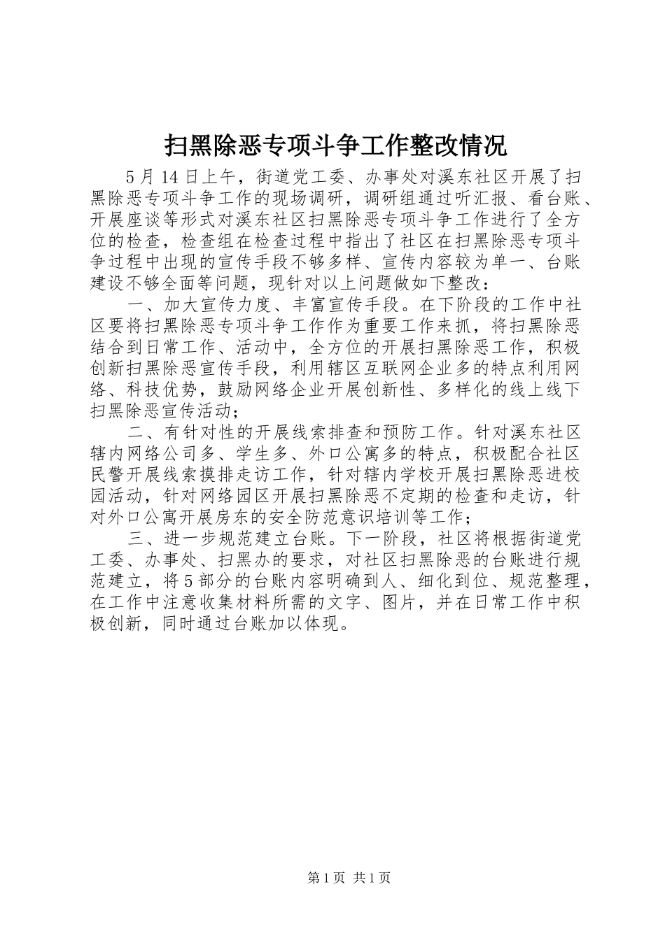 2024年扫黑除恶专项斗争工作整改情况_第1页