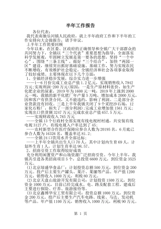 半年工作报告--word范文资料