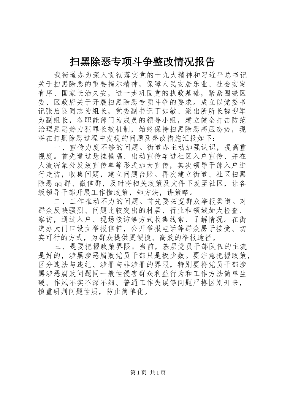 2024年扫黑除恶专项斗争整改情况报告_第1页