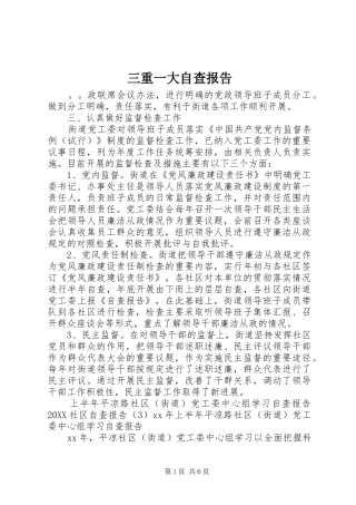 2024年三重一大自查报告