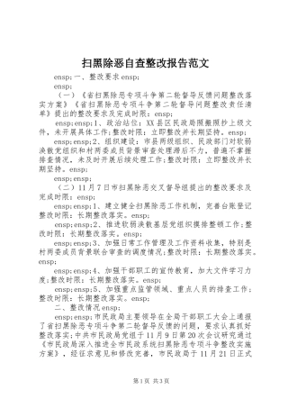 2024年扫黑除恶自查整改报告范文