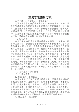 2024年三资管理整治方案