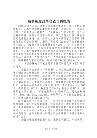 2024年商事制度改革自查自纠报告