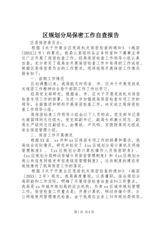 2024年区规划分局保密工作自查报告