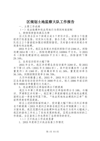 2024年区规划土地监察大队工作报告