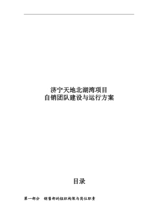 北湖湾项目团队建设与运行方案(金宇)