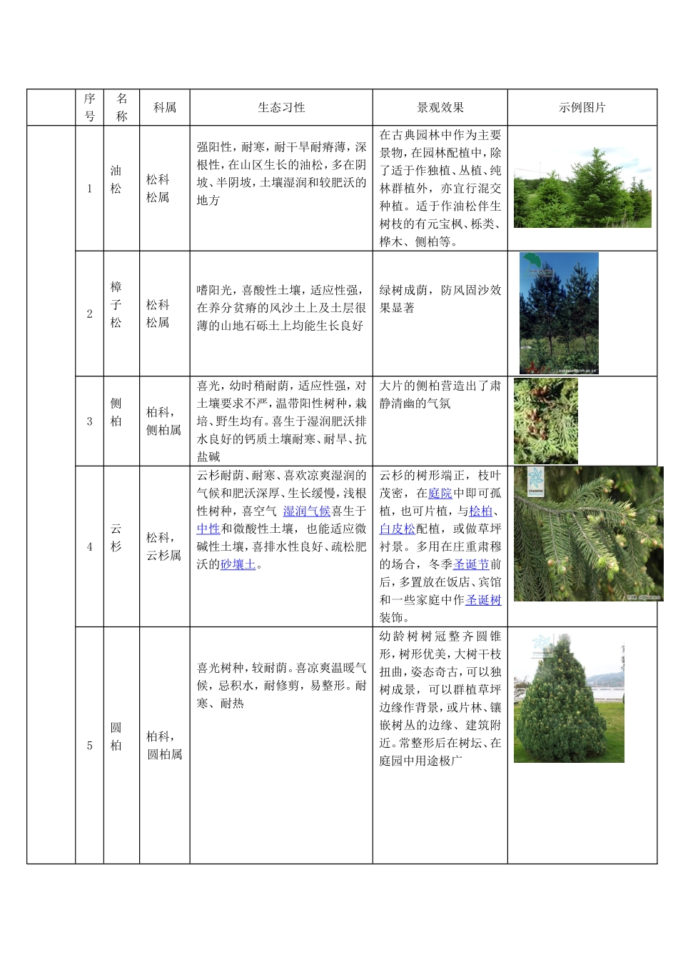 北疆常用植物_第1页