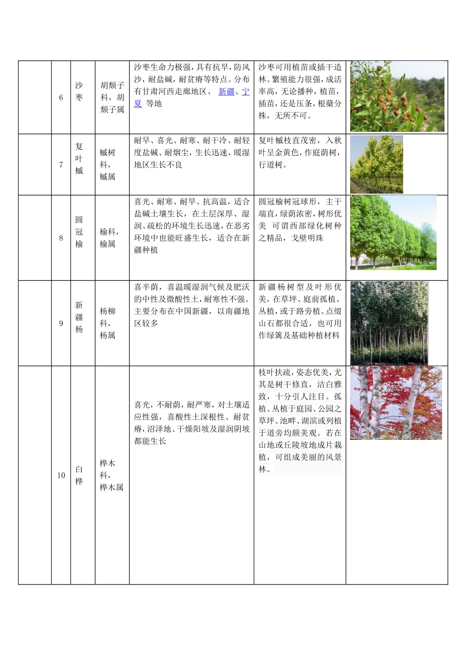 北疆常用植物_第2页
