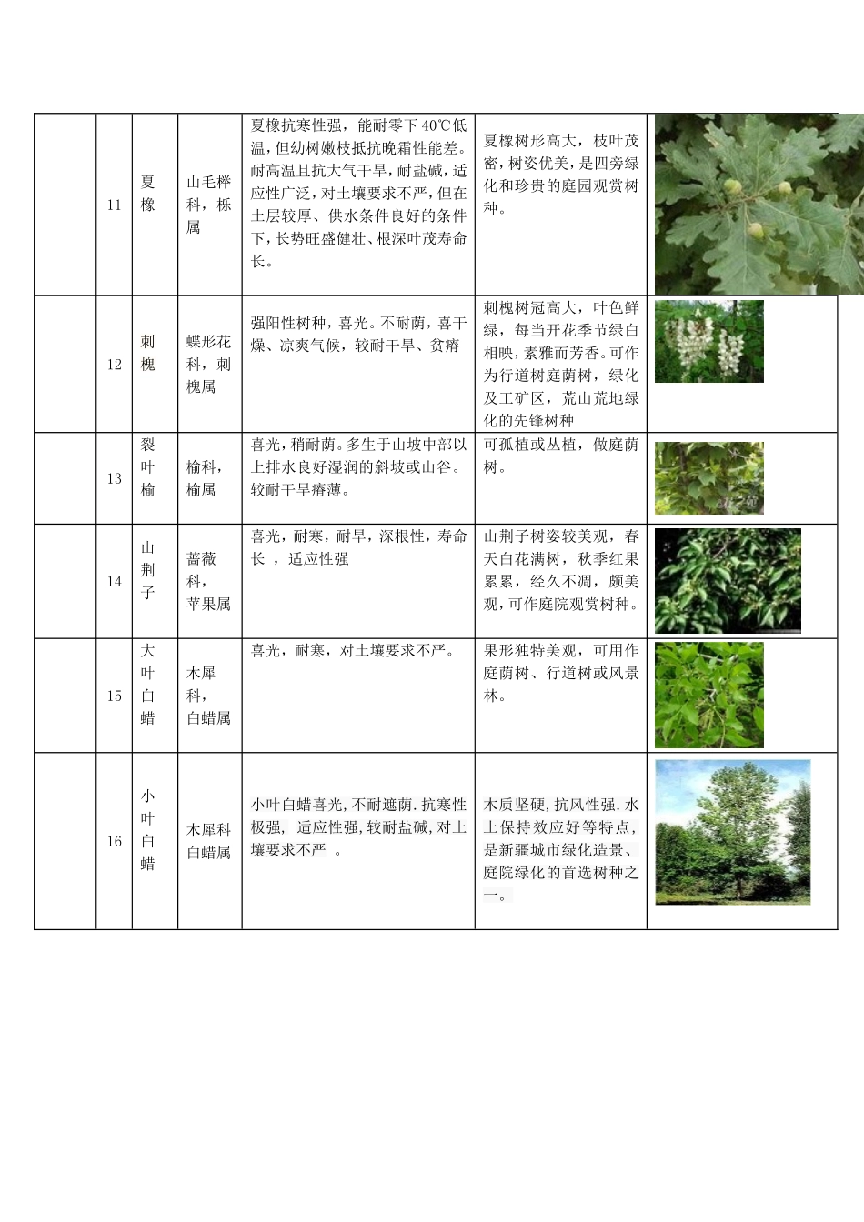 北疆常用植物_第3页