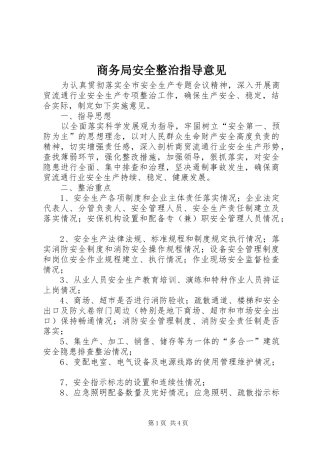 2024年商务局安全整治指导意见