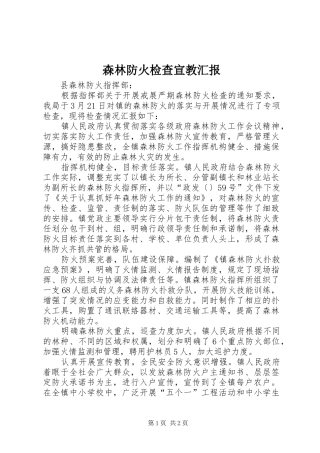 2024年森林防火检查宣教汇报