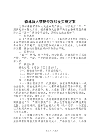2024年森林防火禁烧专项战役实施方案