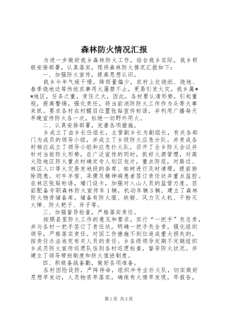 2024年森林防火情况汇报