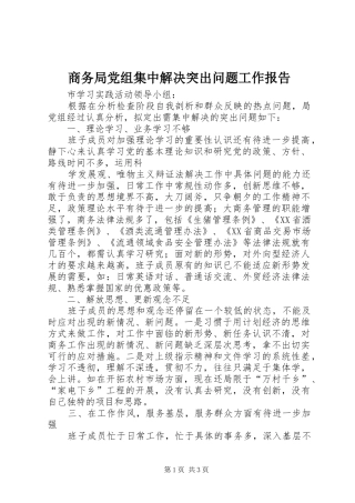 2024年商务局党组集中解决突出问题工作报告