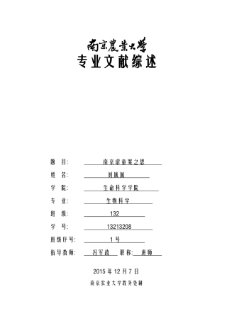 南京虐童案感想论文(原创)