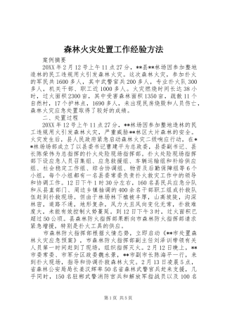 2024年森林火灾处置工作经验方法